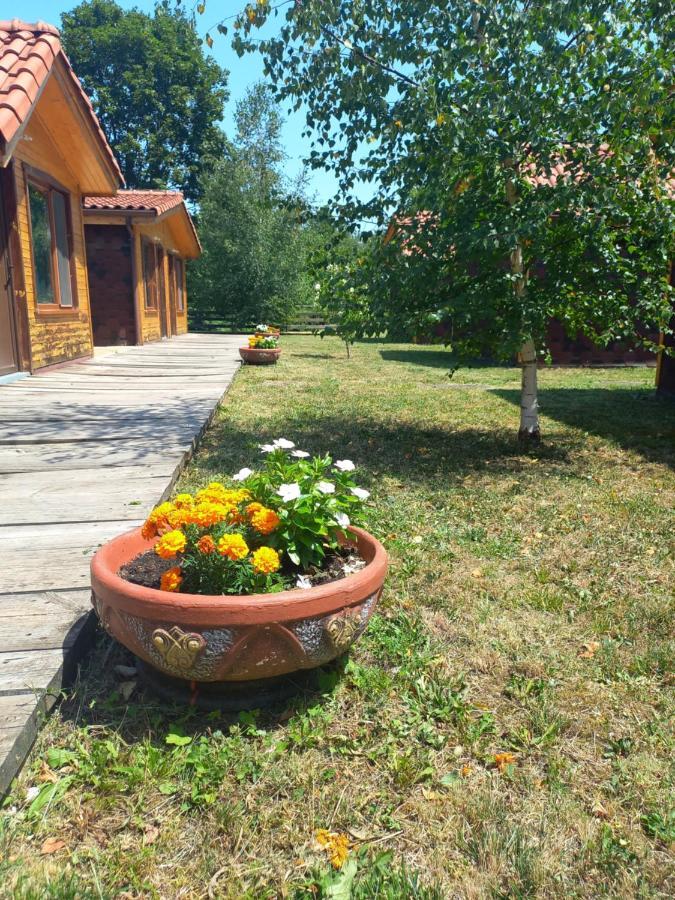 Вилно Селище Мировец Maluk Izvor  Kültér fotó